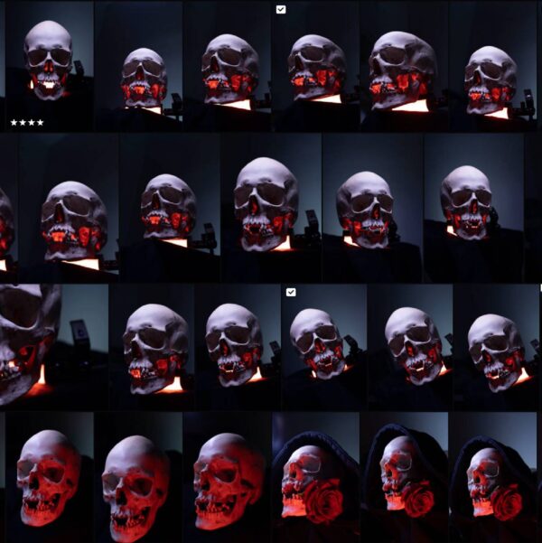 Skull References pack 2.0 - Image 3