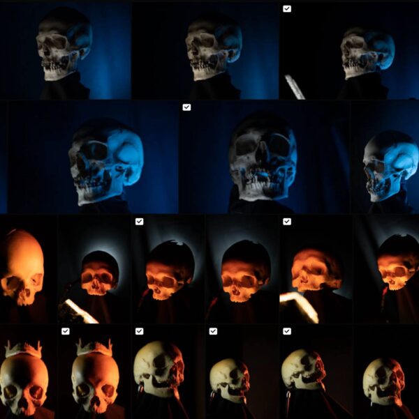 Skull References pack 1.0 - Image 3