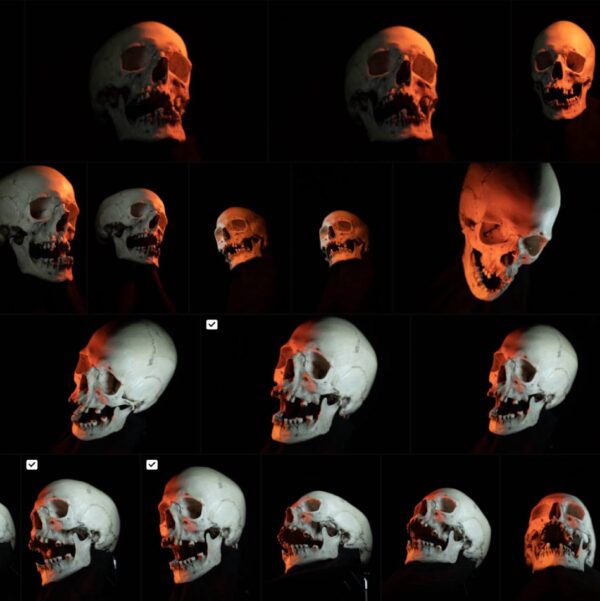 Skull References pack 1.0 - Image 2