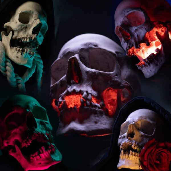 Skull References pack 2.0